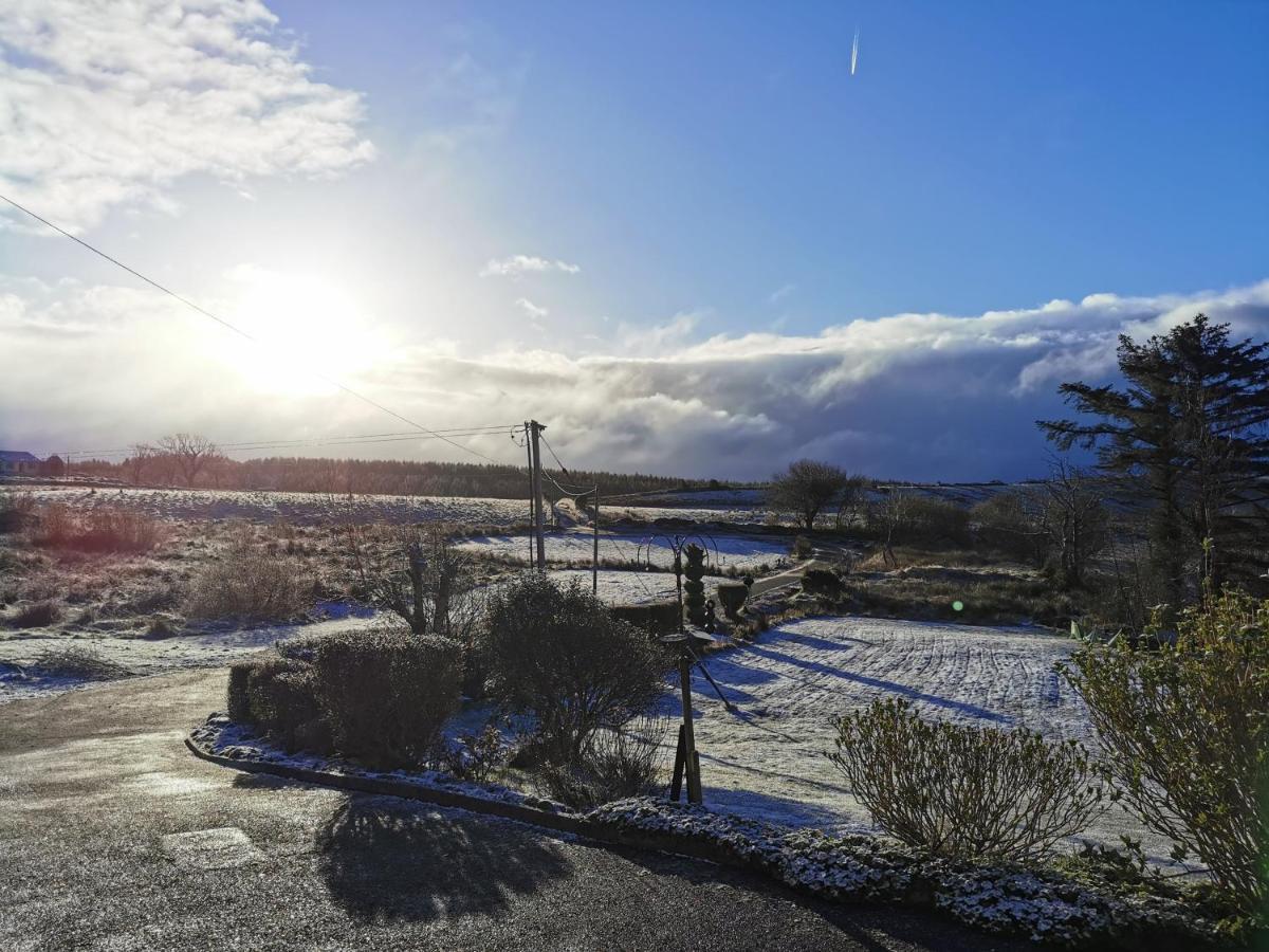 New Listing - Ladybird Cottage - Donegal - Wild Atlantic Way 도니골 외부 사진