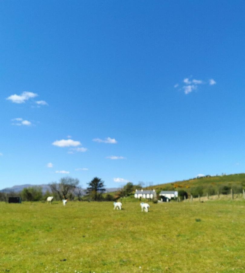 New Listing - Ladybird Cottage - Donegal - Wild Atlantic Way 도니골 외부 사진