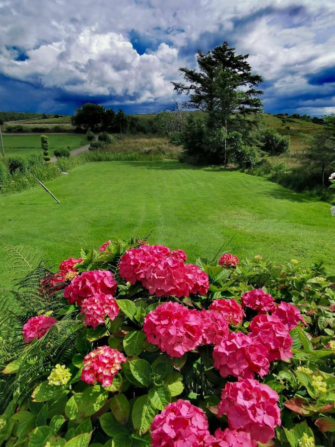 New Listing - Ladybird Cottage - Donegal - Wild Atlantic Way 도니골 외부 사진