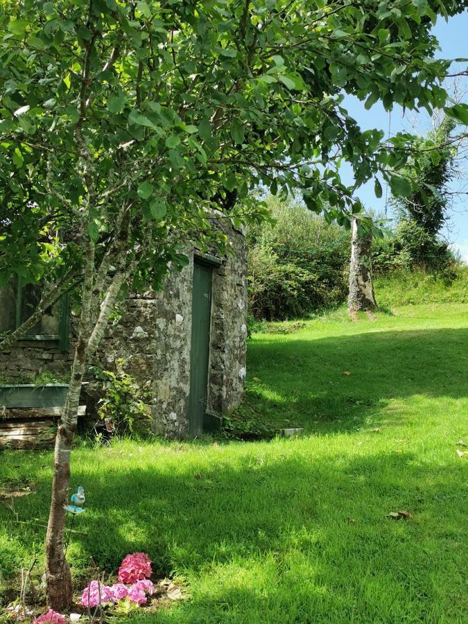 New Listing - Ladybird Cottage - Donegal - Wild Atlantic Way 도니골 외부 사진