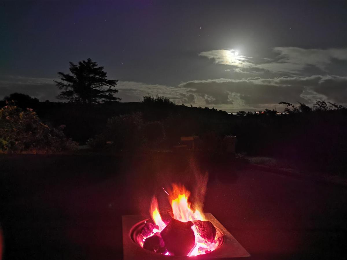 New Listing - Ladybird Cottage - Donegal - Wild Atlantic Way 도니골 외부 사진