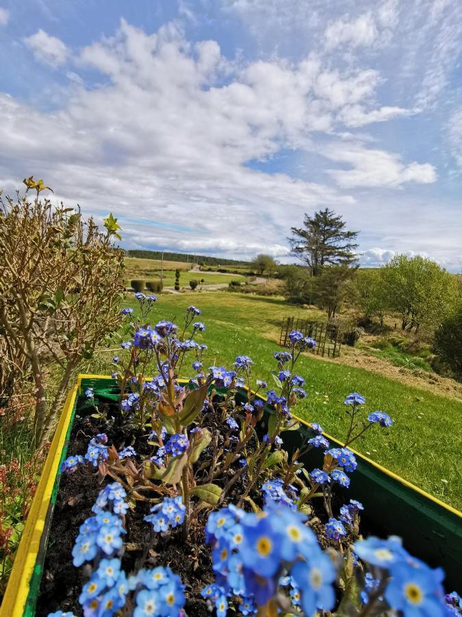 New Listing - Ladybird Cottage - Donegal - Wild Atlantic Way 도니골 외부 사진