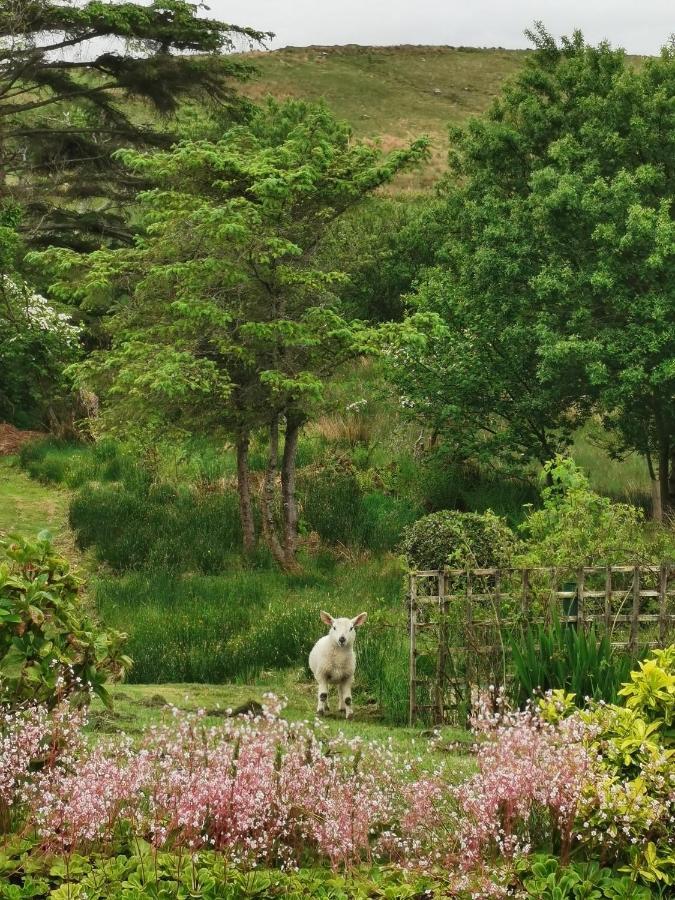 New Listing - Ladybird Cottage - Donegal - Wild Atlantic Way 도니골 외부 사진