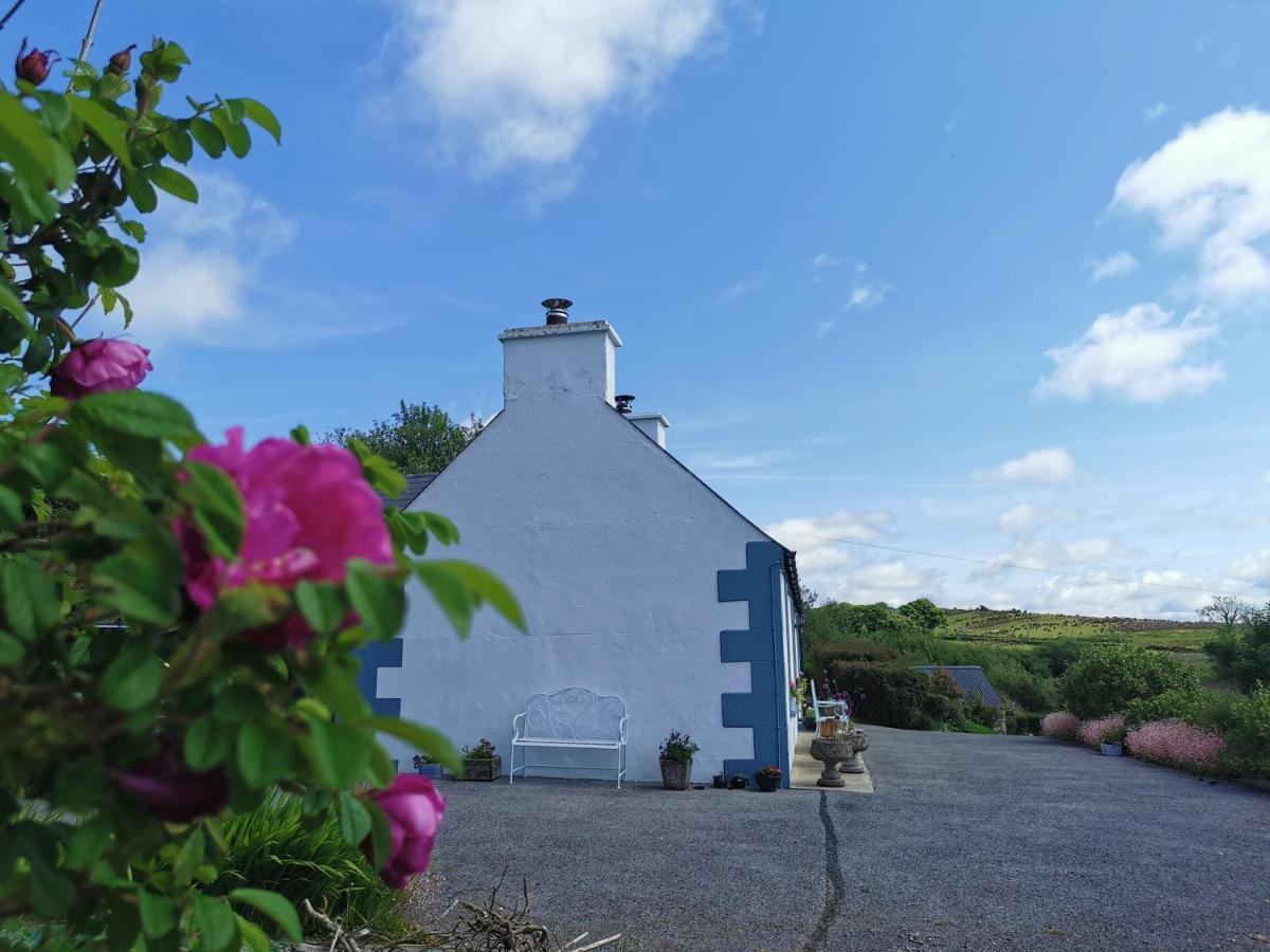 New Listing - Ladybird Cottage - Donegal - Wild Atlantic Way 도니골 외부 사진