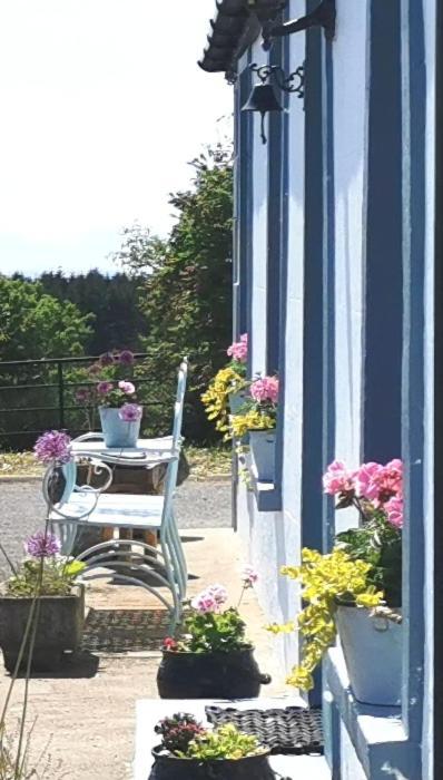 New Listing - Ladybird Cottage - Donegal - Wild Atlantic Way 도니골 외부 사진