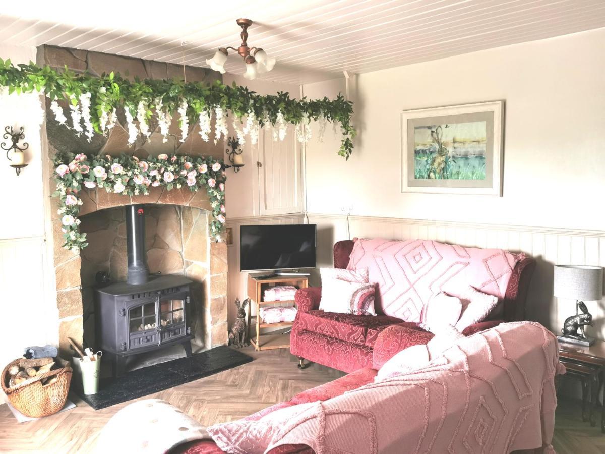 New Listing - Ladybird Cottage - Donegal - Wild Atlantic Way 도니골 외부 사진