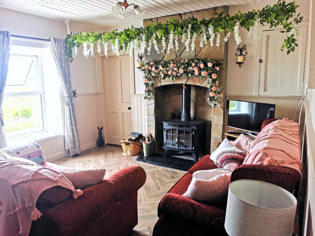 New Listing - Ladybird Cottage - Donegal - Wild Atlantic Way 도니골 외부 사진