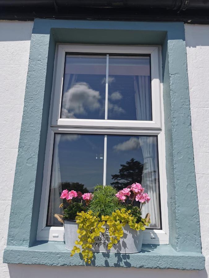 New Listing - Ladybird Cottage - Donegal - Wild Atlantic Way 도니골 외부 사진